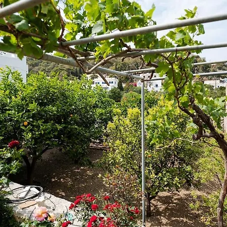 Anna 's House * Lefkes (Paros)