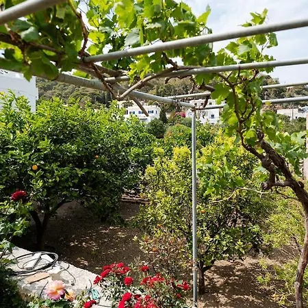 Anna 's House * Lefkes (Paros)